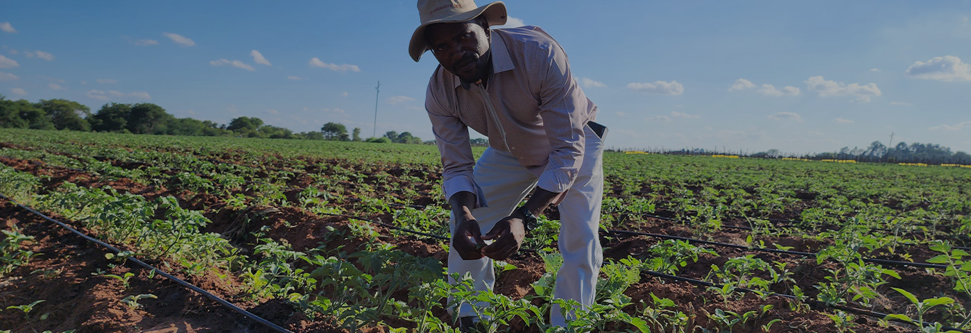 Smart Agriculture Across Africa