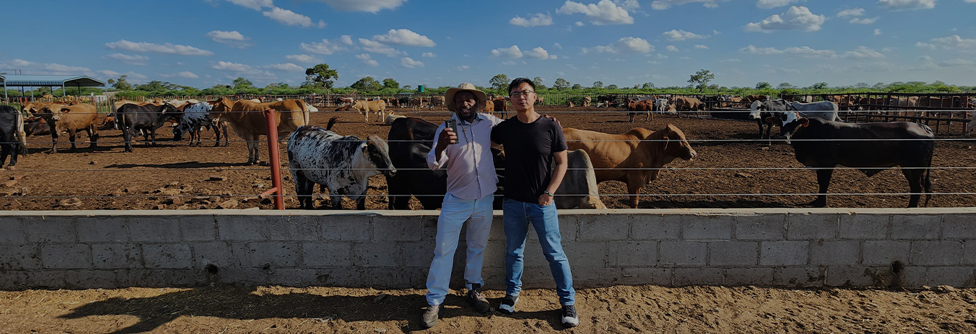 Project in Zimbabwe: Advanced Instant Coffee Production Line